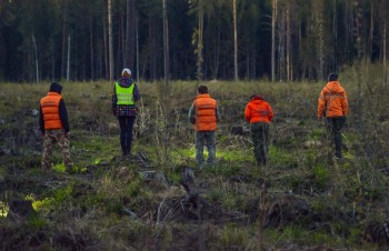 Минцифры упростит процедуру передачи данных о геолокации пропавшего человека Минцифры упростит процедуру передачи данных о геолокации пропавшего человека